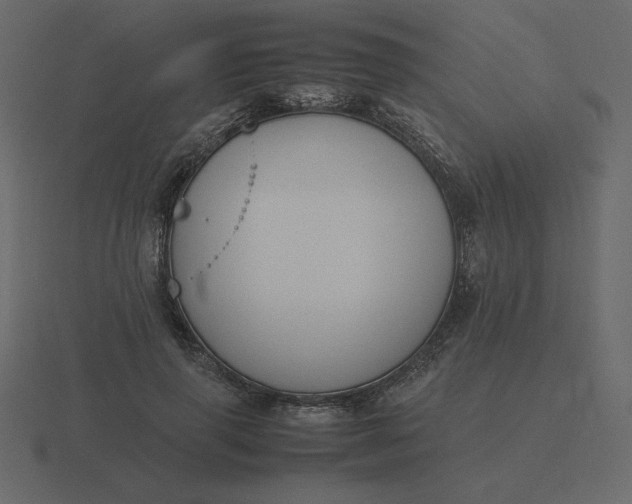 X0000116580645200912241655