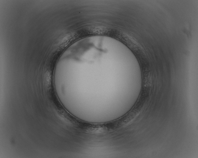 X0000116580646200912241655