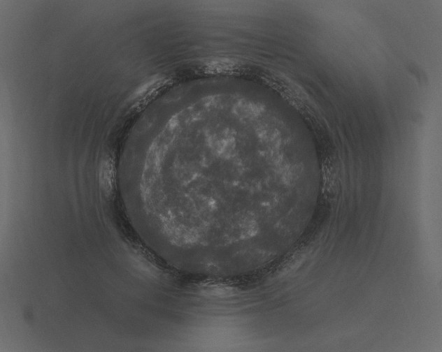 X0000116580648200912241655