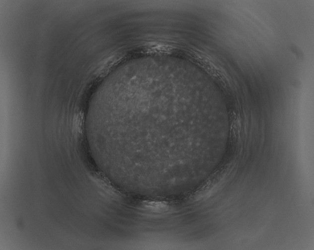 X0000116580649200912241655