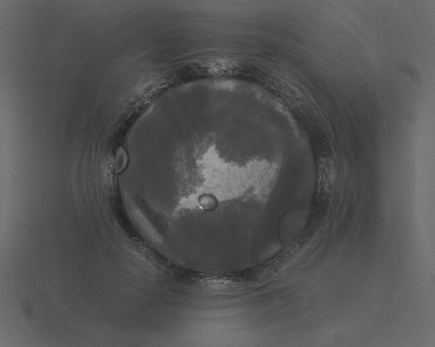 X0000116580650200912241655