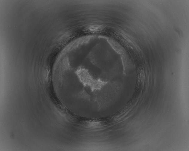 X0000116580651200912241655