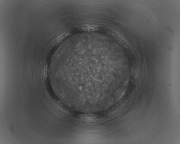 X0000116580652200912241655