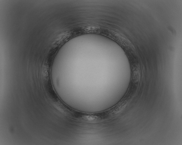 X0000116580654200912241655