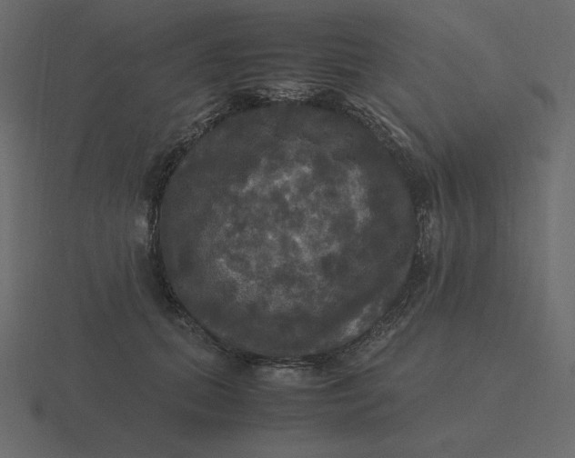 X0000116580655200912241655