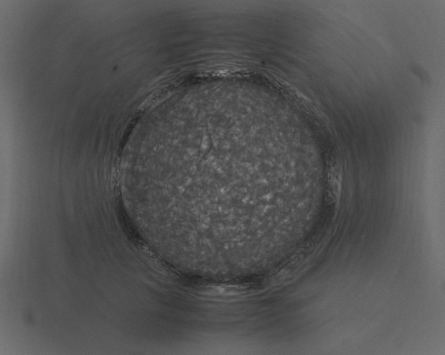 X0000116580657200912241655