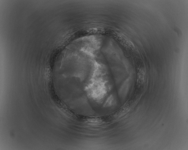 X0000116580659200912241655