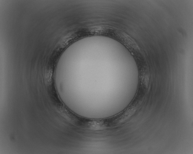 X0000116580660200912241655