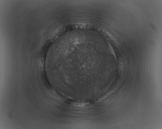 X0000116580661200912241655