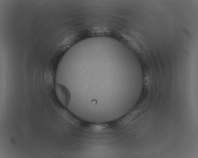 X0000116580662200912241655