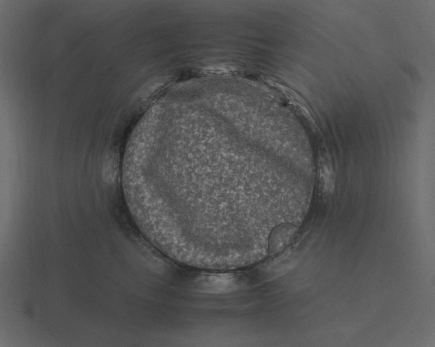 X0000116580665200912241655