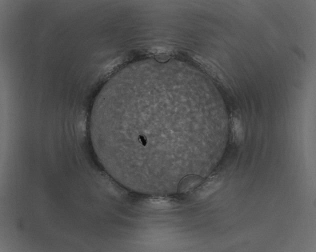 X0000116580668200912241655