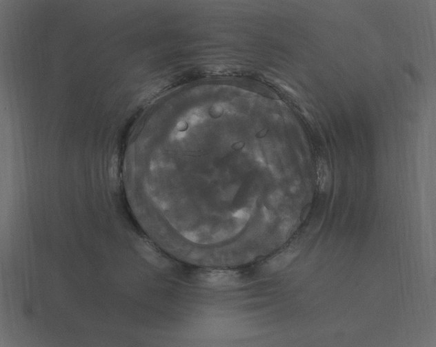 X0000116580670200912241655