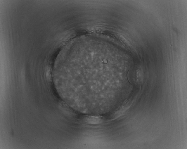 X0000116580671200912241655