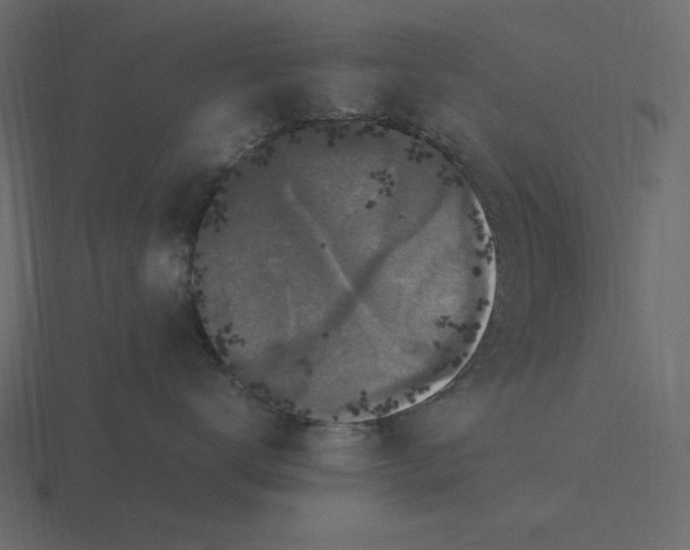 X0000116580672200912241655