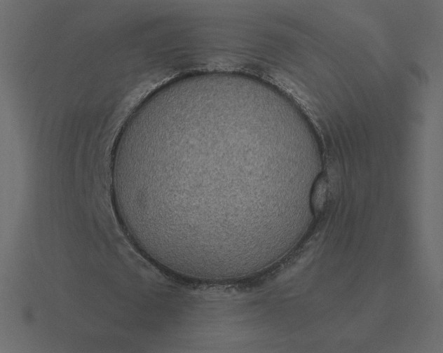 X0000116580673200912241655