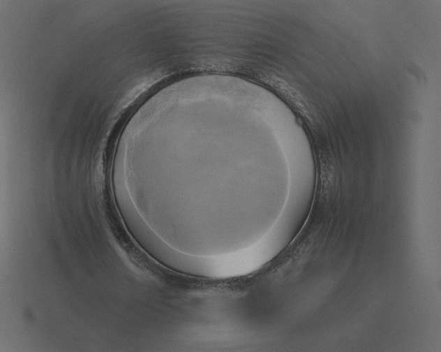 X0000116580674200912241655