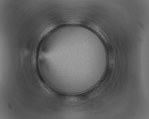 X0000116580677200912241654