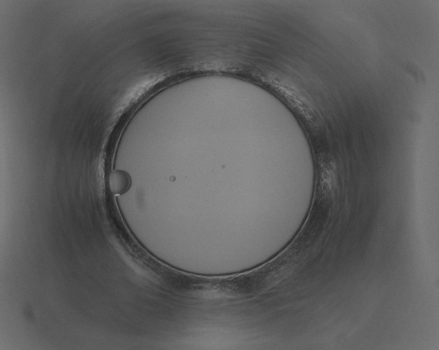 X0000116580678200912241654