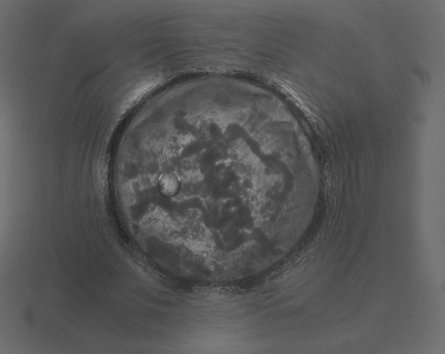 X0000116580679200912241654