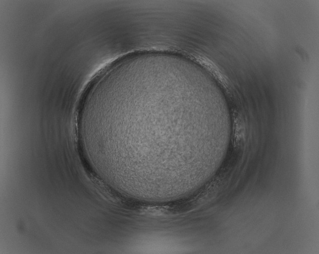 X0000116580680200912241654