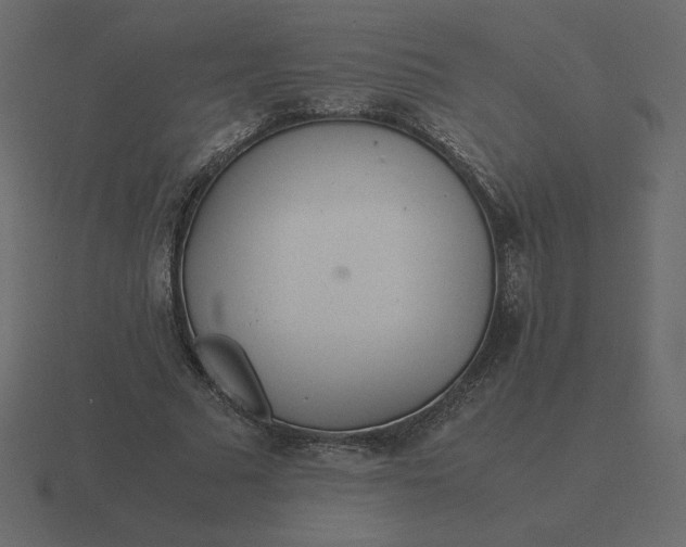 X0000116580681200912241654