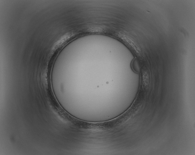 X0000116580682200912241654