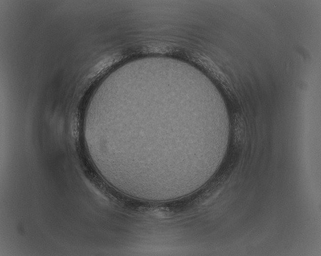 X0000116580683200912241654