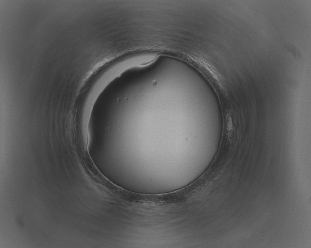 X0000116580684200912241654