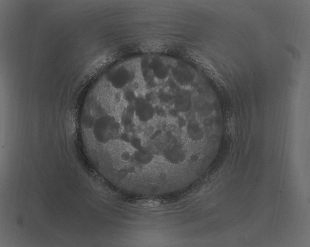 X0000116580687200912241654