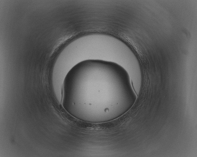 X0000116580688200912241654