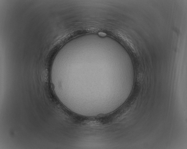 X0000116580689200912241654