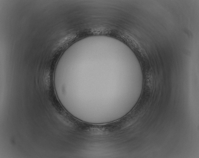 X0000116580690200912241654