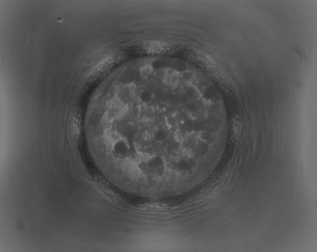 X0000116580691200912241654