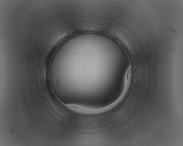 X0000116580692200912241654