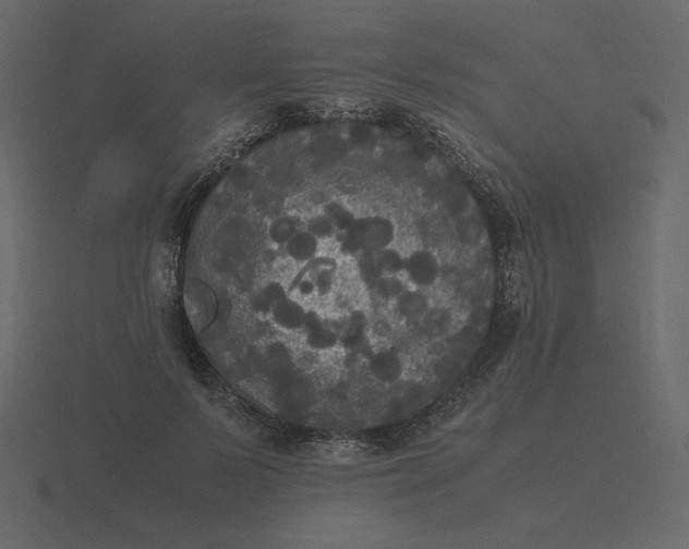 X0000116580695200912241654