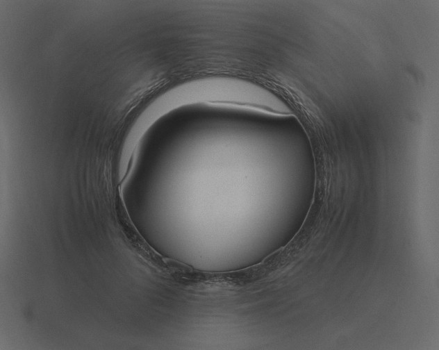 X0000116580696200912241654