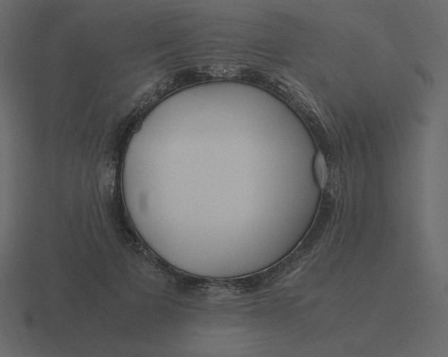 X0000116580697200912241654