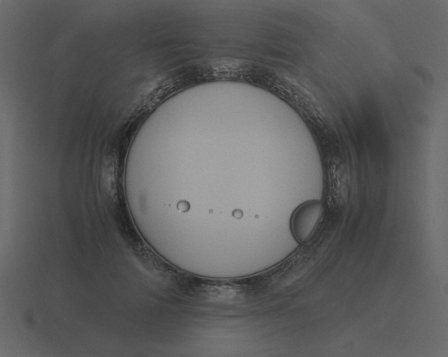 X0000116580698200912241654