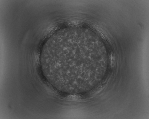 X0000116580699200912241654