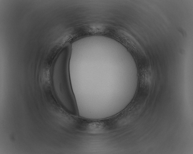 X0000116580700200912241654