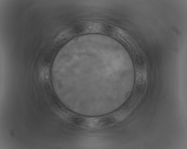 X0000116580701200912241654