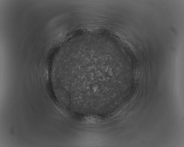 X0000116580703200912241654