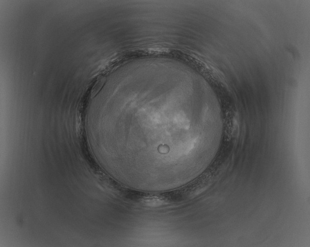 X0000116580704200912241654