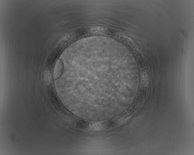 X0000116580705200912241654