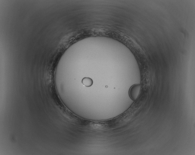 X0000116580706200912241654