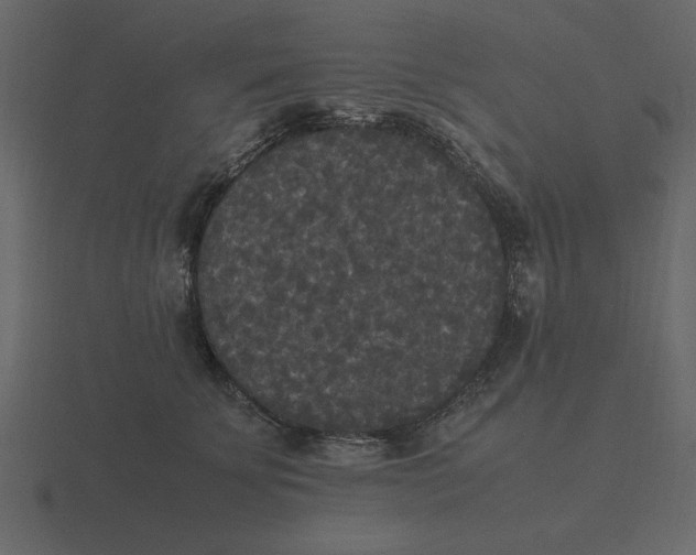 X0000116580707200912241654