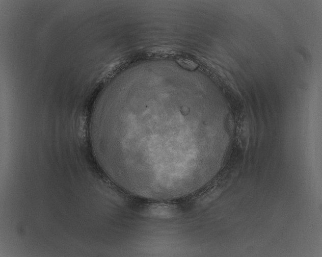 X0000116580708200912241654