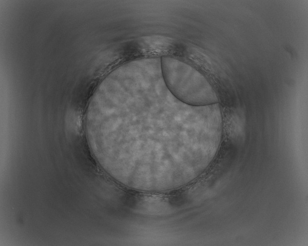 X0000116580709200912241654