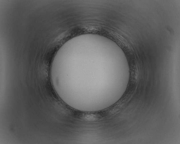 X0000116580710200912241654